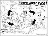 Water Natural Cycle Coloring Pages Color Online Printable Coloringpagesonly sketch template