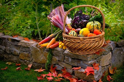 harvest basket lavish cards fine art corporate greeting cards