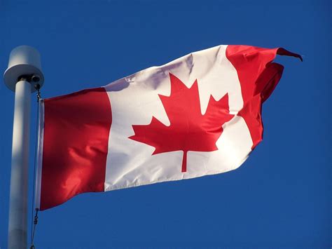 canadian flag   photo  freeimages