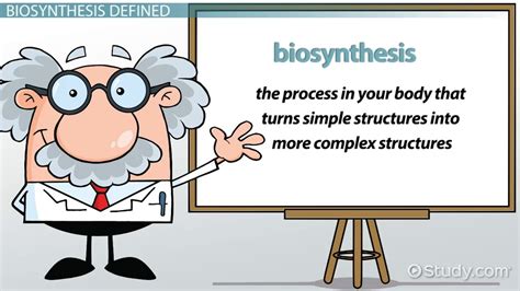 biosynthesis definition overview video lesson