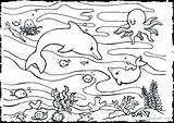 Coloring Pages Sea Life Creatures Ocean Getcolorings sketch template