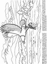 Coloring Pages Doverpublications Dover sketch template