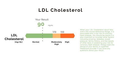 understanding  test results ldl cholesterol dexa scan   vo max   rmr test