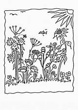 Blumenwiese Malvorlagen Ausdrucken Besten sketch template