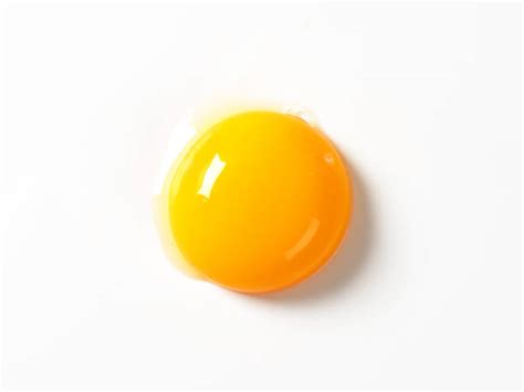 myths  facts  egg yolk recipes masalabox