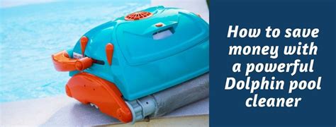 dolphin pool cleaner reviews  top  choices