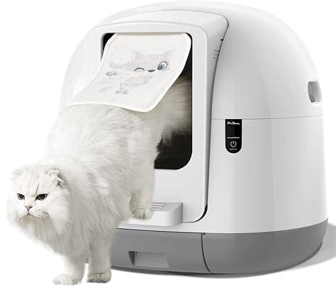 cleaning cat boxes sale outlet save  jlcatjgobmx