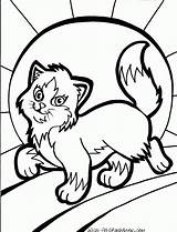 Coloring Cat Pages Printable Cute Kids Walking Print Soon Well Puppy Cats Colouring Color Rich Book Animal Thingkid Calico Girls sketch template