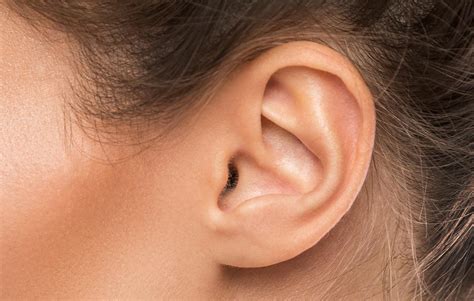 de werking van het oor en het gehoor schoonhoven