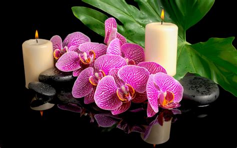 spa candles  orchid wallpaper  wallpaper