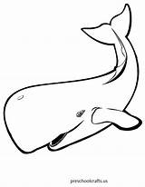 Coloring Whale Pages Blue Preschool Colouring Printable Preschoolcrafts sketch template