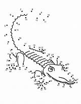 Dots Connect Adults Pages Kids Gator Coloring sketch template
