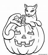 Coloring Halloween Cat Pages Pumpkin Printable Color Print sketch template