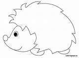 Arici Colorat Decupat Hedgehog Căutare sketch template