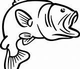 Bass Coloring Fish Pages Clipart Outline Clipartbest Clipartmag sketch template