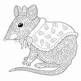 Souris Rat Zentangle Coloration sketch template