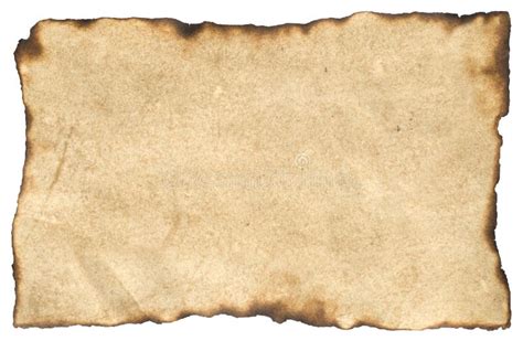 aged blank parchment paper stock image image  paper