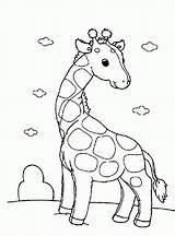 Giraffe Coloring Pages Funny Cute Printable Animals Giraffes Color Print Drawings Drawing Netart Popular Getcolorings Coloringhome sketch template