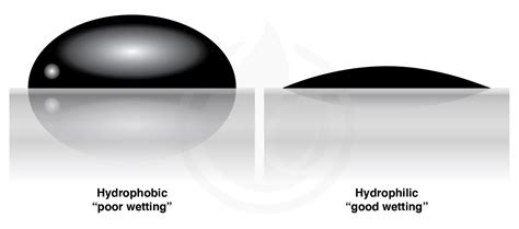 science  hydrophobicity igl coatings blog