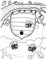 Bienen Bijen Kleurplaten Bijenkorf Bienenstock Abejas Honig Dieren Insect Biene Malvorlage Malen Abeille Miel Ausmalbild Ausmalen Bumblebee Käfer Vorlagen Knutselen sketch template