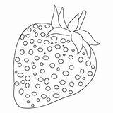 Strawberry Coloring Pages Seed Heart Little Strawberries Fruit Berries Top sketch template