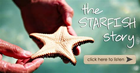jack  erin  starfish story
