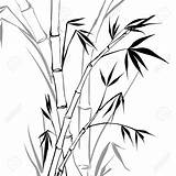 Bamboo Bambus Leaves Vectorstock Tusche sketch template
