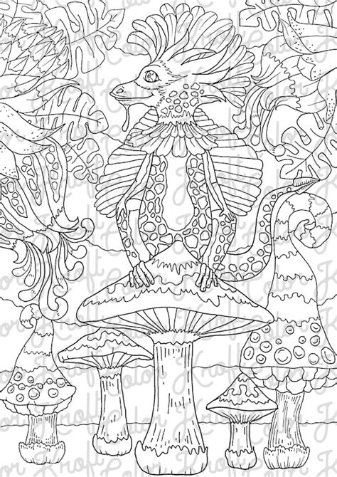 mystical fairy coloring pages super duper coloring