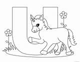 Letter Alphabet Printable Unicorn Print Coloring Animal sketch template