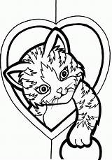 Coloring Pages Cute Cat Kitten Printable Heart Kids Colouring Valentine Sheets Hearts Realistic Adults Color Cats Colring Print System Cooloring sketch template