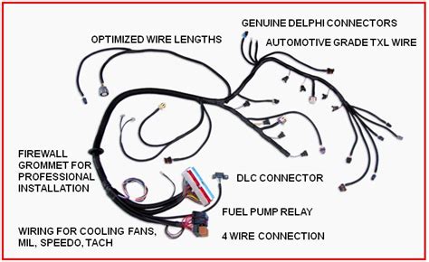ls engine wiring harness diagram   ls  le standalone wiring harness dbc