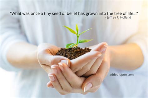 seed belief tree life web added