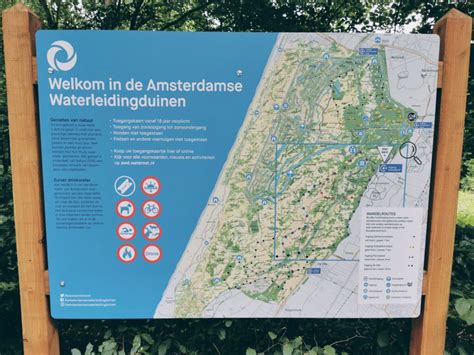 de amsterdamse waterleidingduinen   holland