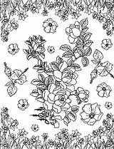 Coloriages Adulti Kleurplaten Volwassenen Roses Adultes Erwachsene Ausmalen Adulte Narcisses Kostenlose Rosen Murakami Narzissen Buch Daffodils Erwachsenen Zum Colouring Fur sketch template