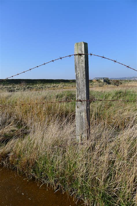 Old Fence Posts Solent Reserves Blog