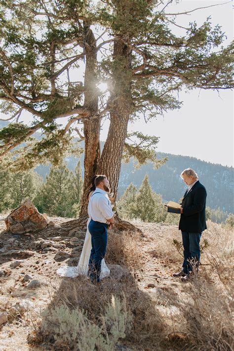 wyoming elopement   wedding tree foxtails photography