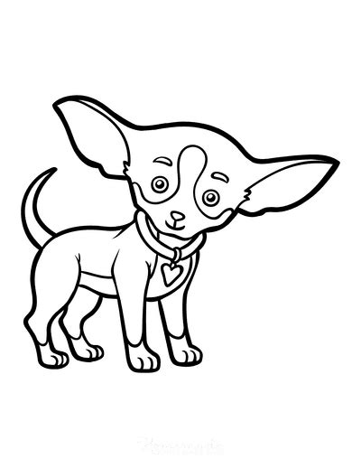chihuahua drawing outline  chihuahua drawing outline