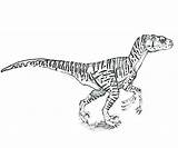 Jurassic Velociraptor Raptor sketch template