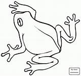 Rana Frosch Ausmalbild Tree Anfibi Stampare Rane Frogs Supercoloring Clipartmag Disegnidacolorare sketch template