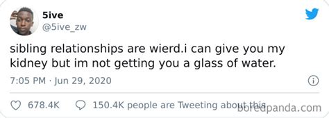 20 People On Twitter Illustrate How Weird Sibling Relationships Truly