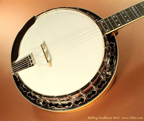 stelling sunflower banjo