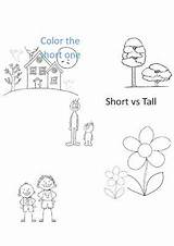 Tall Short Worksheets Kindergarten Preschool Vs Kids sketch template