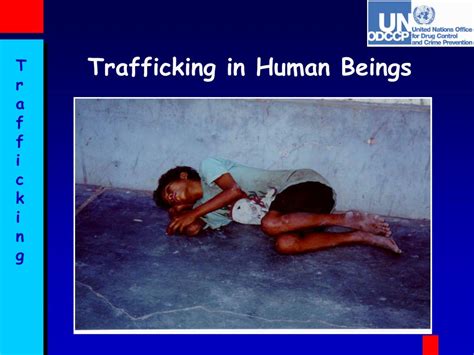 Ppt Trafficking In Human Beings Powerpoint Presentation Free