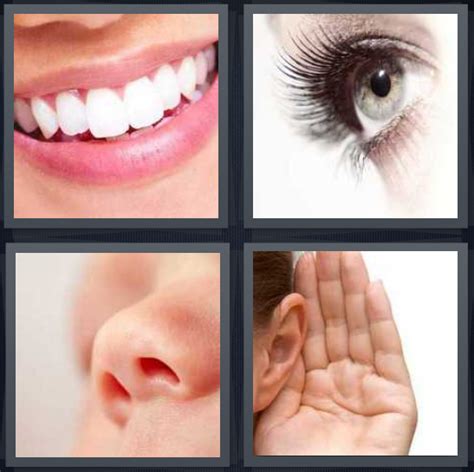 4 pics 1 word answer for lips eye nose ear