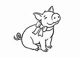 Coloring Pages Pig Christmas Getcolorings Printable Color sketch template