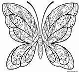 Coloriage Papillon Jolis Motifs Colorat Fluturi Colorier Planse Adulte Imprimé sketch template