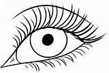 Eye Oko Rysunek Jak Eyelashes Narysować Krok Kroku Obraz Eyelash Beautybysoraya sketch template