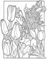Spring Coloring Pages Garden Nature Dover Flowers Season Book Colouring Printable Print Para Flower Publications Adult Tulips Doverpublications Adults Color sketch template