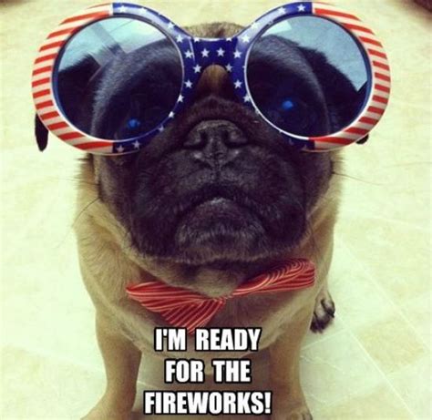 8 hilarious fourth of july memes to get a good laugh from society19