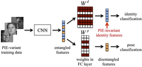 face recognition using deep learning cnn in python thinking neuron